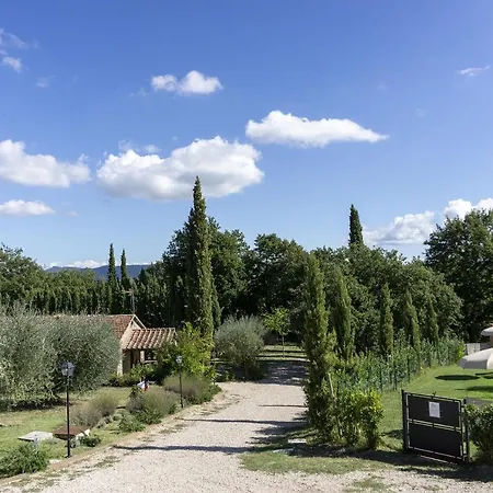 Alessandro - Homelike Villa Citta della Pieve