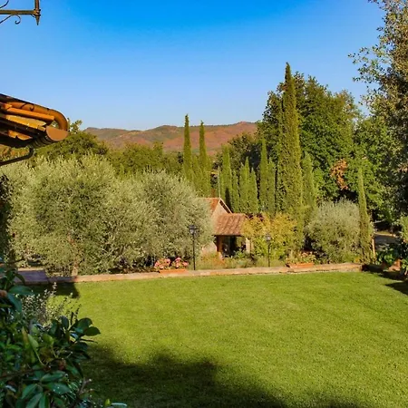Alessandro - Homelike * Citta della Pieve